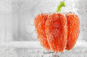 Red bell pepper in water. design element