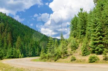 Road in the coniferous forest on the background hills. Summer landscape
