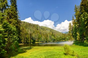 Mountain landscape in the forest near the lake. Summer season