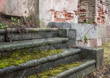 Old stone steps stairs covered with moss and vegetation.