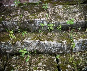 Old dented stone steps stairscovered with vegetation.