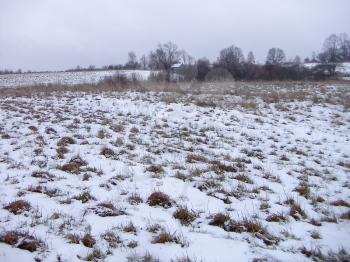 Winter landscape with a gray sky and grass on the snow-covered field.