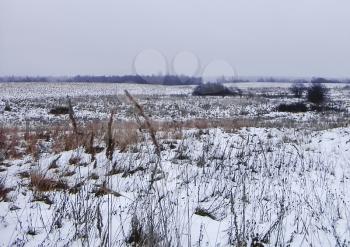 Winter landscape with a gray sky and grass on the snow-covered field.