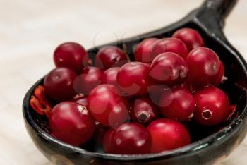 Ripe cranberries, rolled in a wooden spoon.
