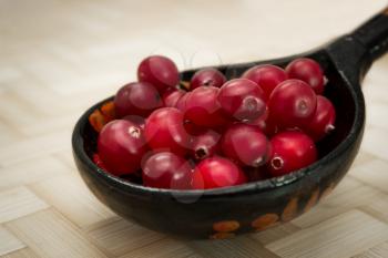 Ripe cranberries, rolled in a wooden spoon.