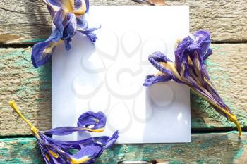 White paper on the wooden background with dried flowers Iris.
