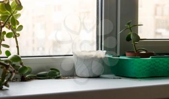 Empty white flower pot on window sill against the window.