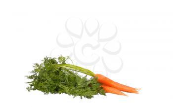 ripe vegetables pile of carrots vegetarian isolated