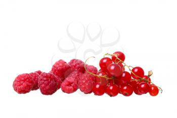 Branches of berry red currants isolated on a white background
