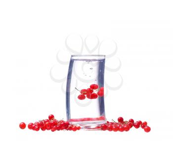 Water with red currants isolated on white
