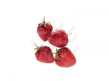 background of strawberries in two rows in isolation top view
