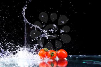 Studio shot with freeze motion of cherry tomatoes in water splash on black background with copy space