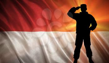 Flag with original proportions. Flag of the Indonesia