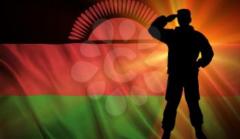 Flag with original proportions. Flag of the Malawi