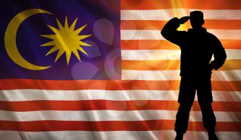 Flag with original proportions. Flag of the Malaysia