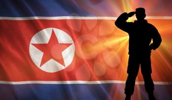 Flag with original proportions. Flag of the North Korea