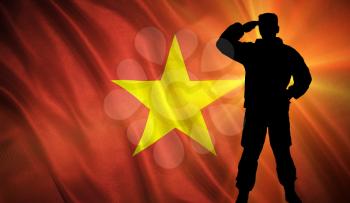 Flag with original proportions. Flag of the Vietnam