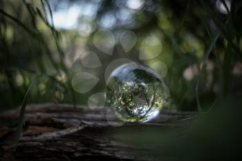 the concept of nature, green forest. Crystal ball on a wooden stump with leaves. Glass ball on a wooden stump covered with moss.
