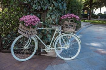 flower bicycle basket, pastel tone. Fall city
