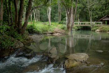 Beautiful river among green garden at elephant farm in Thailand. Rainy weather in March, Krabi