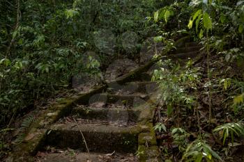 Beautiful old staircase in the jungle of Southeast Asia, Thailand.