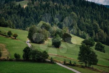 Road in mountain valley at sunny morning in Poland. View with asphalt roadway, meadows with green grass, mountains, blue sky with clouds and sun. Highway in fields. Trip in europe. Travel