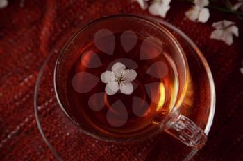 cup of tea and cherry brunches on table. Spring nature background with lovely blossom. Tea and flowers of cherry on red cozy background. Top view, banner. Springtime concept