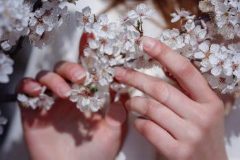 female hands among blossom cherry tree brunch in spring garden, beauty, summer, emotion, expression and people concept.