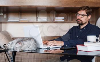 Young bearded businessman sits in home office at table and uses laptop, next sits gray cat. On table is smartphone, paper, books , cup of coffee. Working home concept during quarantine
