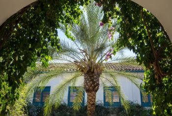 Beautiful gardens and courtyards in the Palace of Viana in Cordoba, Andalucia, Spain