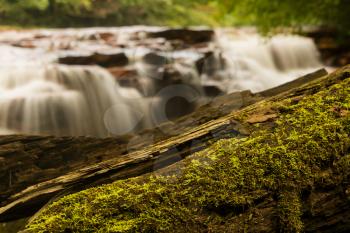 Mossy log frames the blurred motion waterfall on Muddy Creek running into Cheat River off Route 26 in Preston County West Virginia