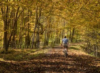 Senior adult caucasian man cycling away down a leaf covered Deckers Creek Rail trail near Morgantown in West Virginia