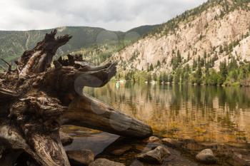 Dead tree trunk and roots in Cottonwood lake in the valley on clear calm day with the lake stretching off to a distant kayaker on the lake