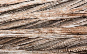 Detailed background abstract image of the aging bark of a dead cedar tree in macro close up