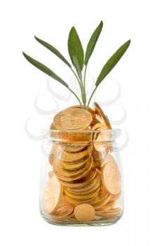 Pure gold US treasury coins inside a glass jar against a white background with a small green plant sprouting to represent investment or wealth