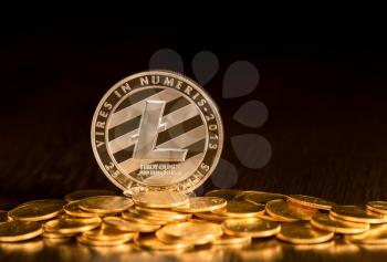 Single Litecoin coin on top of small gold coins to illustrate cybercurrency or blockchain