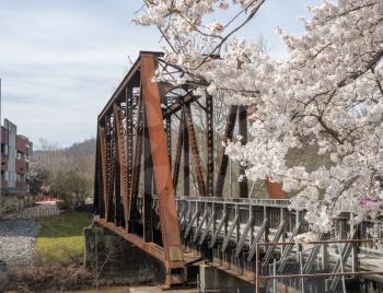 Old steel girder bridge carrying walking and cycling trail in Morgantown over Deckers Creek with cherry blossoms