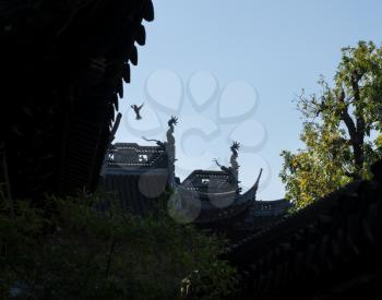 Detail of roof carving with bird in Yu or Yuyuan Garden in  the old city of Shanghai