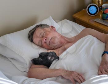 Senior retired man asleep in bed and snuggling his pet terrier dog. Could be used as illustration of importance of pets to older people