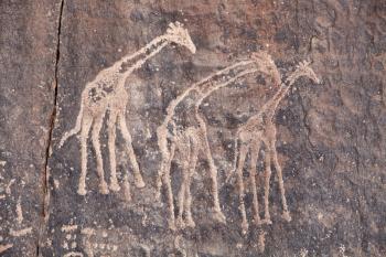 Ancient rock engraving in Sahara Desert, Tadrart, Algeria
