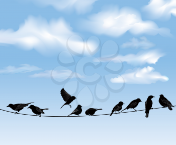 Set of birds on wires over blue sky background. A vector illustration