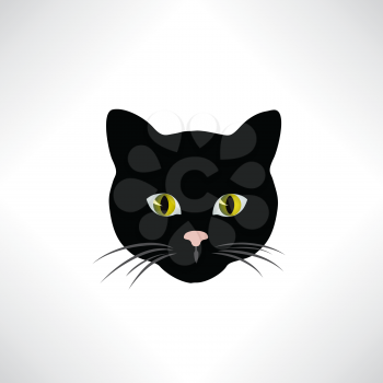 Cat. Cats face isolated. Pet design element