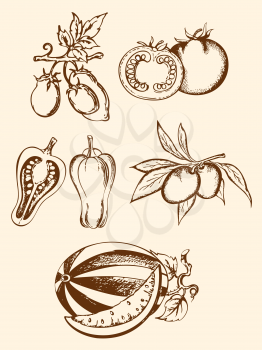 set of hand-drawn vintage vegetable icons