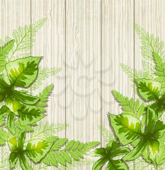 Summer background with green tropical leaves. Vector illustration.
