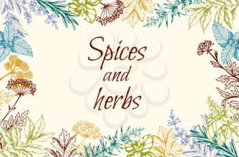 Vintage hand drawn floral background with spices and herbs. Vector illustration