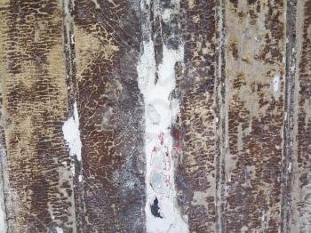Old wood planks with white peeling paint background