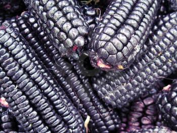 pile of Peruvian purple corn background
