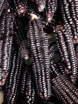 A pile of Peruvian purple corn 