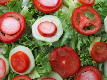 Mixed salad with lettuce, tomato and radish