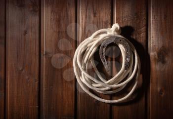 An old horseshoe hangs on one nail with a lasso against a dark wooden wall
